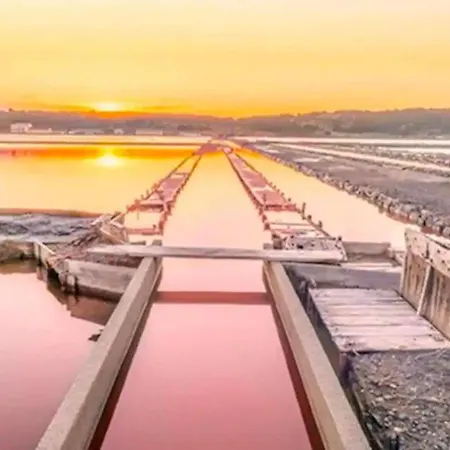 Petit Nid Douillet De A 200m De La Gruissan
